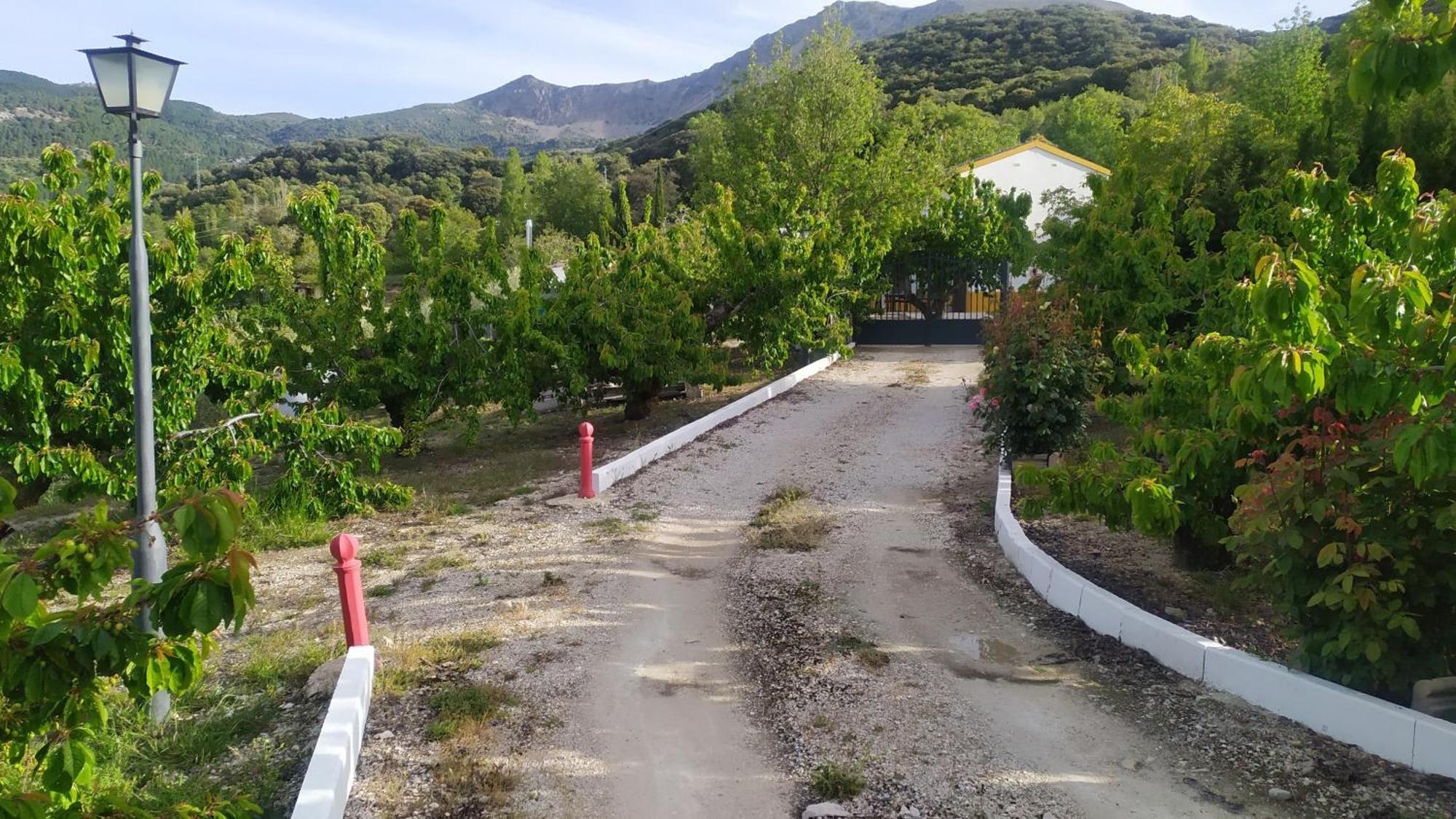 Los Cabales Torres  ภายนอก รูปภาพ